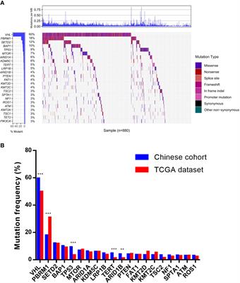 Comprehensive Genomic Landscape in Chinese Clear Cell Renal Cell Carcinoma Patients